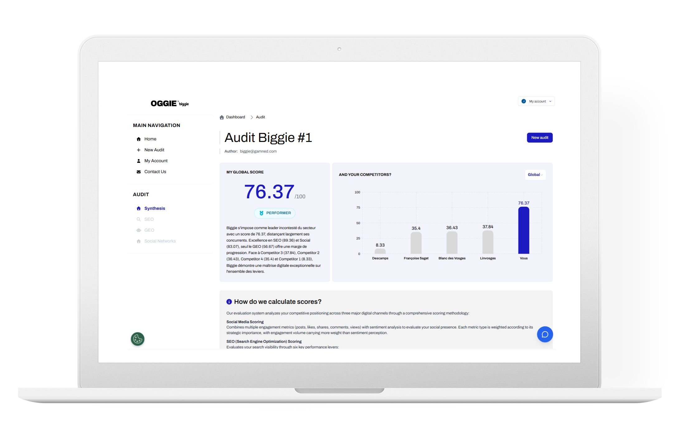Analyse site web gratuit - Oggie by BIGGIE