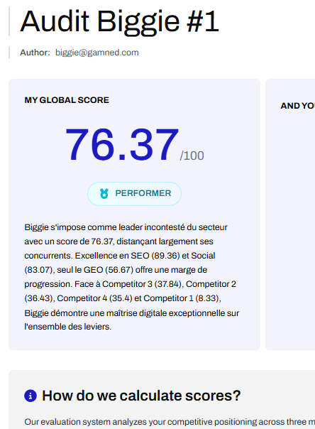 audit screenshot